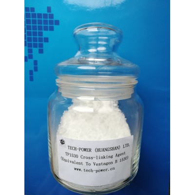 Curing Agent of The Substituted Dicyandiamide Type